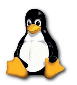 Top websites running linux, top web server OS